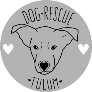 dog rescue tulum LOGO
